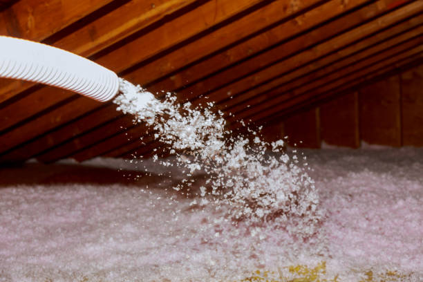 Best Insulation for New Construction  in Carrington, ND