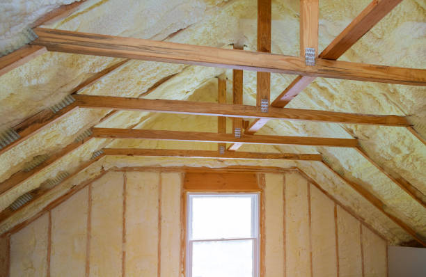 Best Affordable Insulation Services  in Carrington, ND