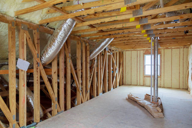 Best Insulation for New Construction  in Carrington, ND