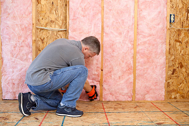 Best Insulation Repair Services  in Carrington, ND